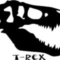 T-Rex 0.14.6 (NoFee) - NVIDIA GPU miner